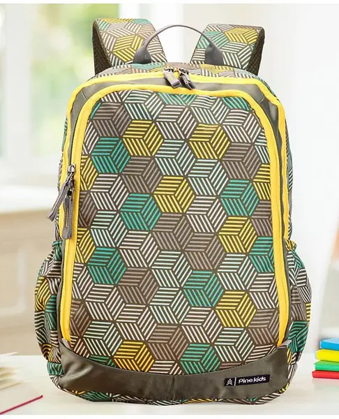 Pine Kids School Backpack Cubes Print Multicolor - 18 Inches
