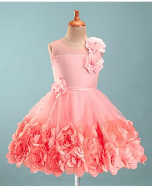 Enfance Sleeveless Floral Applique Net Dress  - Peach