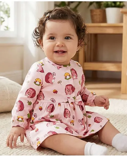 Babyoye 100% Cotton Knit With Eco Jiva Finish Full Sleeves Frock With Bloomer & Hedgehog Print - Pink