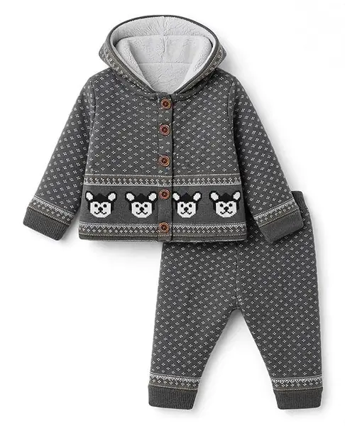 Yellow Apple Knit Full Sleeves Hooded Sweater Set with Puppy Design - Grey